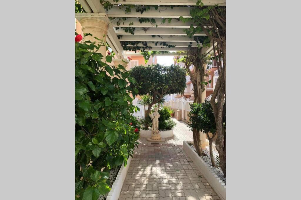 Beach Dream Apartment 라 마타 외부 사진